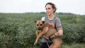 45 Psů uložených v kansasu