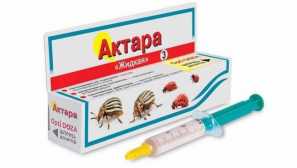 Aktara z colorado beetle složení léku, princip dopadu na hmyz, tipy na zpracování