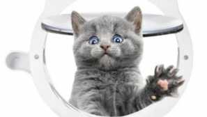 Aliexpress pro kočky: dejte svým mazlíčkem samostatný vchod