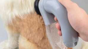 Aliexpress pro zvířata: vyberte si vysavač vlny