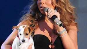 Americké hvězdy, které tráví na psy báječné množství