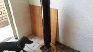 Automatický podavač psů a jak to funguje