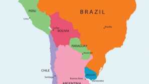 Wild pampas bylinná kočka: stepní špionážní