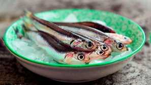 Evropské sardele nebo šunky