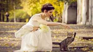 Foto sezení s kočkou: podzimní nápady pro úžasný personál