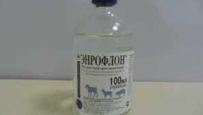 Pokyny pro použití léku enroflon pro ptáky