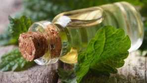 Esenciální oleje nebo komáři: kdo vyhraje?