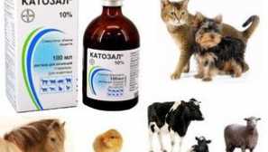Katosal pro zvířata - pokyny pro užívání léku