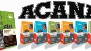 Kočka pro psy akana: popis, typy a recenze veterinářů