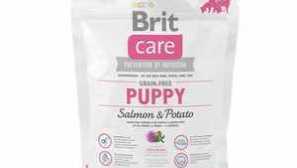 Třída premium pro psy: charakteristika, složení a použití