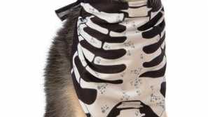 Psí oblek na halloween - nápady