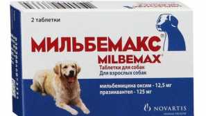 Top anthelmintic léky pro psy - top-5