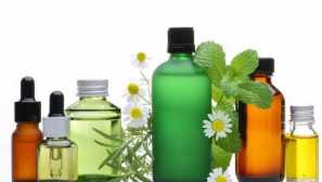 Lidové léky z komárů: recenze osvědčených receptů