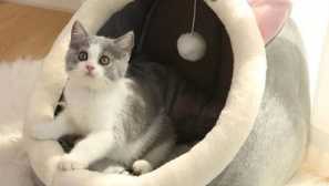 Nebuďte pozdě na prodej: záznam aliexpress snižuje ceny