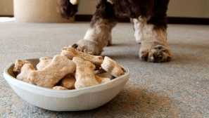 Belly dovolená: jaké domácí pokrmy můžete potěšit svého psa