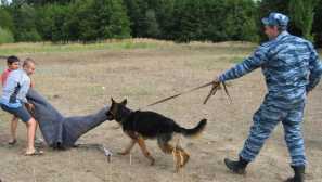 Různé typy chování psů