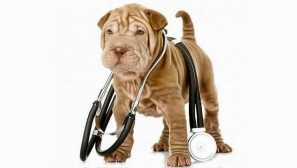 Aktuální oční víčka a jiná choroba zmocnění