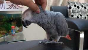 Jaco mě spálil před mou ženou